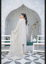 Load image into Gallery viewer, Sehriaraz Linen Pakistani Shalwar Kameez Salwar Suit Indian GRY
