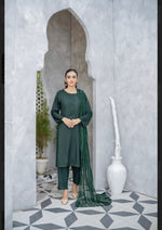 Load image into Gallery viewer, Sehriaraz Linen Pakistani Shalwar Kameez Salwar Suit Indian GRN
