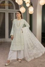 Load image into Gallery viewer, Sehriaraz Pakistani Shalwar Kameez Salwar Plazo Indian LIME
