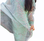 Load image into Gallery viewer, Pakistani Shalwar Kameez Indian dress Salwar Organza Party Wear ready made UK SK-GRN
